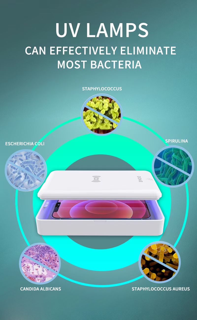 Boîte de stérilisation Bwoo + Charge sans fil 5W (BO-XD01) - Blanc