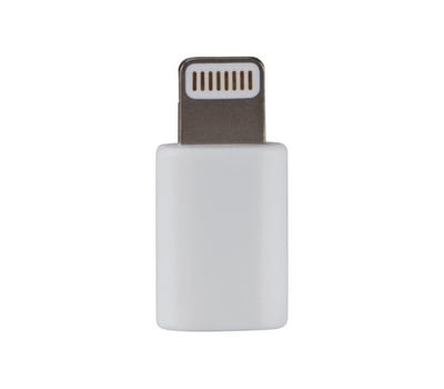 Adaptateur Lightning Mâle Vers Type-C Femelle
