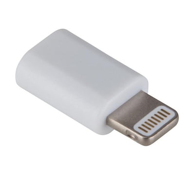 Adaptateur Lightning Mâle Vers Type-C Femelle