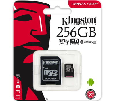 Carte Micro SD Kingston 256 Go